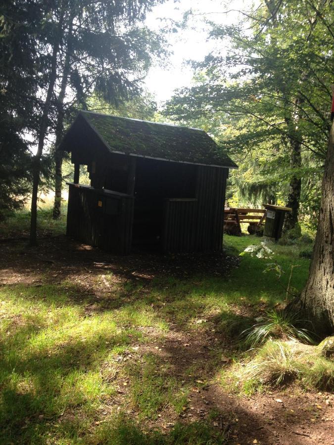 Ferienwohnung "Rodelnde Geiss" Mit Schwimmbad Braunlage Dış mekan fotoğraf