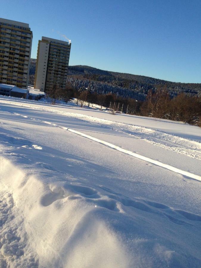 Ferienwohnung "Rodelnde Geiss" Mit Schwimmbad Braunlage Dış mekan fotoğraf