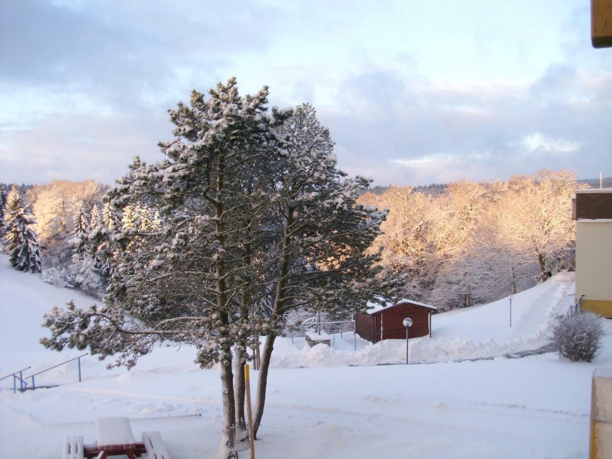 Ferienwohnung "Rodelnde Geiss" Mit Schwimmbad Braunlage Dış mekan fotoğraf